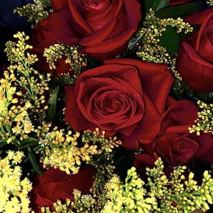 Mi último diciembre