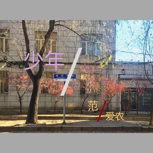 少年