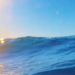 可以可以都可以