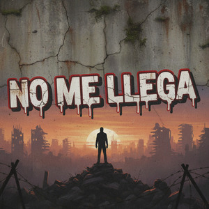 no me llega