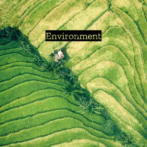 Environment
