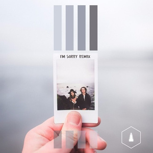 I'm Sorry (metsä Remix)