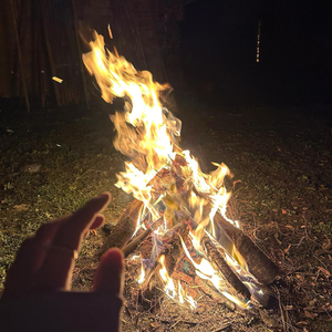 两三句（趁着灯火不算清晰）