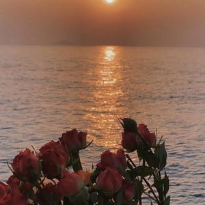 不分手的恋爱（cover 汪苏泷）