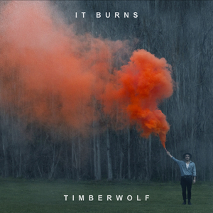 It Burns (Radio Edit)