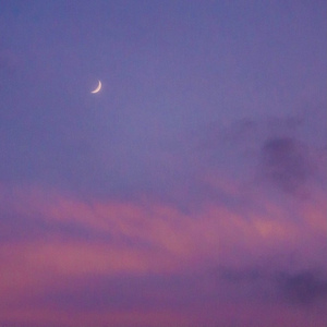 My moon (with 김동현)