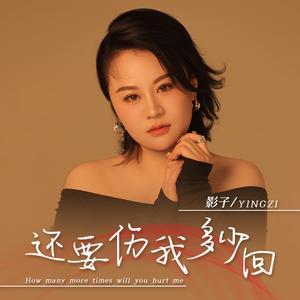 还要伤我多少回