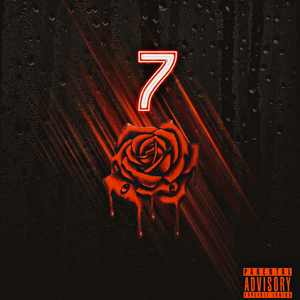 7 Roses