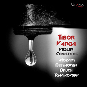 Violin Concerto in D Major, Op. 35, TH 59: III. Finale. Allegro vivacissimo