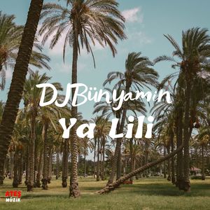 Ya Lili (Remix)