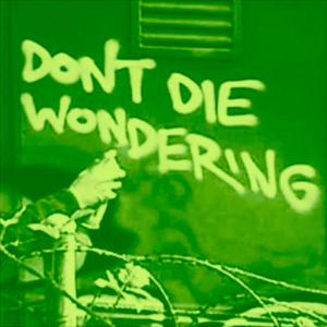 Don't Die Wondering