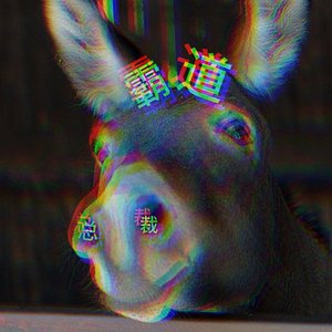 霸道总裁（口水歌）