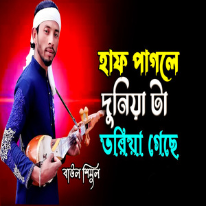 হাফ পাগলে দুনিয়া টা ভরিয়া গেছে