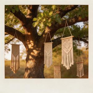 再也不问理由（后来我再也不问你理由）