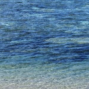 欲陀停（Prod EVOMUSIC）