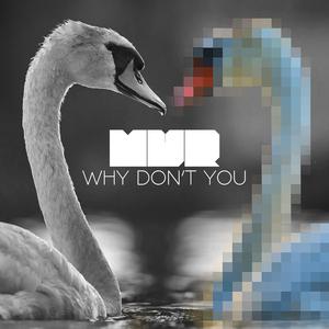 Why Don't You (Extended Mix)