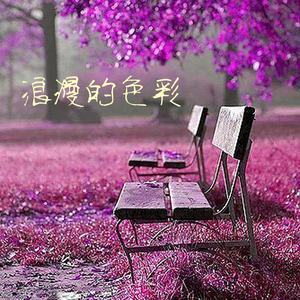 还好我从来不放弃