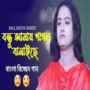 বন্ধু আমায় পাগল বানাইছে