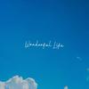 Dominic Donner - Wonderful Life (feat. John Skyfield)