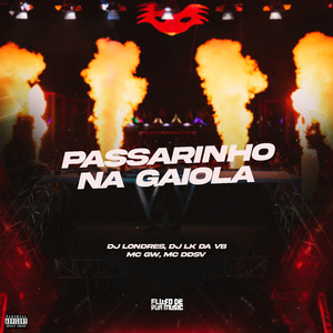 Passarinho na Gaiola