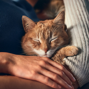 Una Reflexión Tranquila