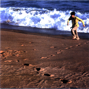 流れ星ビバップ