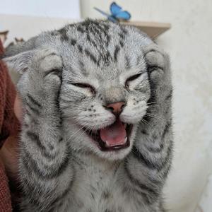 Stress (feat. Phearum)