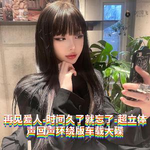 DJ国飞-再见爰人-时间久了就忘了-超立体声回声环绕版车载大碟（DJ国飞 remix）