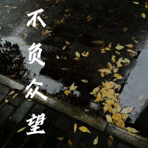 不负众望DJ版本(D小小只Remix)