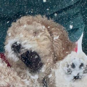 Miss You (feat. Kaio.)