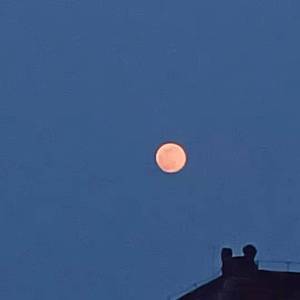 漠河舞厅（吉他弹唱）