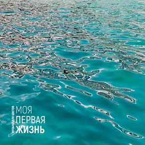 пересадка