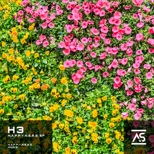 Knave (Extended Mix)