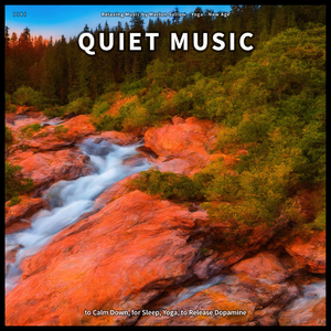 Quiet Music
