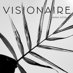 Visionaire