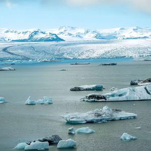 西湖醋鱼（Phonk)(Slowed）