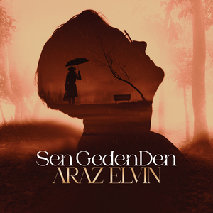 Sen Gedenden