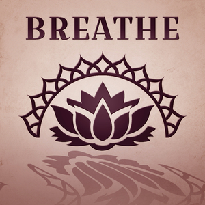 Sernity and Wellness
