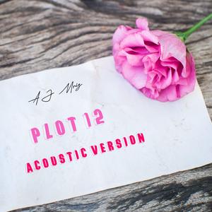 Plot 12 (Instrumental Version)