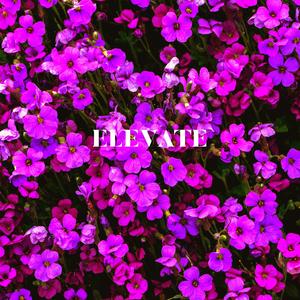 Elevate