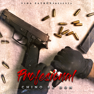 Profesional