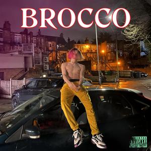 Brocco