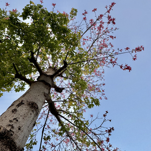 哪里会有人喜欢孤独