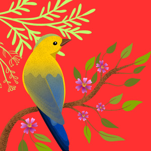 Kicau Burung Murai Ngeplong