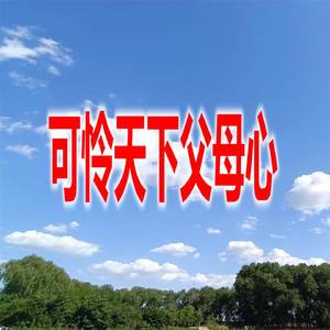 可怜天下父母心（DJ)