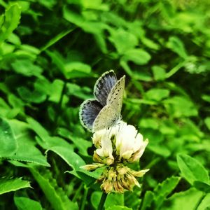 When sixteen years old(prod.0412)