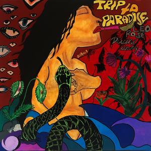 Paradise (feat. Devine Unity)