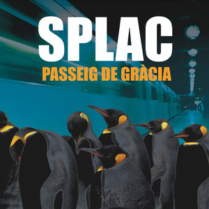 Baldiri Diri Dirli Don