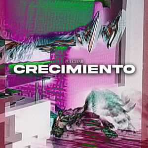 Crecimiento