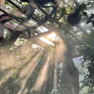 我只能离开（他们说忘记就不会痛苦）